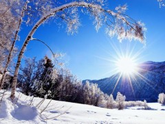 Шинэ сарын шинж