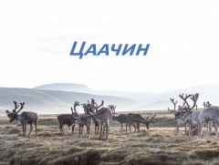 “Цаачин” баримтат нэвтрүүлэг