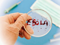 Гвиней эболагийн халдвар тархаж байгааг албан ёсоор зарлалаа 