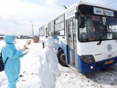 “Тусгай үйлчилгээ”-нд 180 автобус зорчигч тээвэрлэж байна