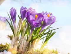 Яргуй ирэх хавар