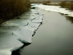 Цөн түрэх цаг