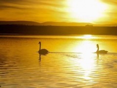 Малое озеро