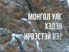 Монгол Улс хэдэн цоохор ирвэстэй вэ?