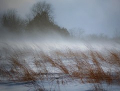 Амралтын өдрүүдэд цасан шуурга шуурч, хүйтний эрч чангарна