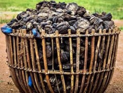 Аргалын галын илч