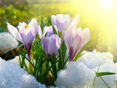 Шинэ сарын шинж: Тавдугаар сарын тэнгэр, цаг агаарын шинж төлөв