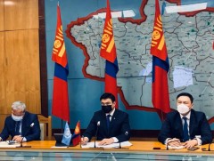 Шадар сайд С.Амарсайхан, Монгол Улс дахь НҮБ-ын суурин зохицуулагч Тапан Мишра нар цахим уулзалт х..