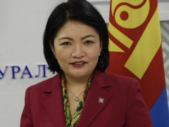 ОУПХ-ны Энхтайван, олон улсын аюулгүй байдлын байнгын хорооны цахим хуралдаанд Монголын парламенты..
