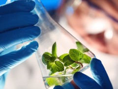 Миний мэргэжил: Ургамлын биотехнологич