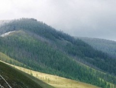 Богд ууланд бага насны хоёр хүүхэдтэйгээ хамт төөрсөн эмэгтэйг олжээ