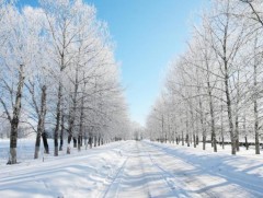 Өвлийн өнгө