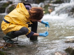 Миний мэргэжил: Экологич, хүрээлэн буй орчин судлаач