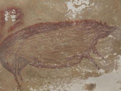 Дэлхийн хамгийн эртний амьтныг дүрсэлсэн сүг зураг 