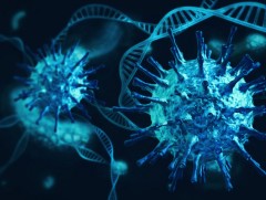 ДЭМБ: Коронавирусний мутациуд БНЭУ-д цар тахал давалгаалахад нөлөөлж байна 