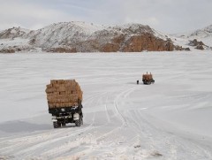Зэвсэгт хүчний алба хаагчид малчдад тусламж хүргэлээ
