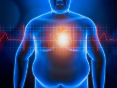 Насанд хүрсэн хүмүүсийн тал хувь нь илүүдэл жинтэй байна