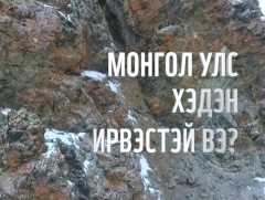 Монгол Улс хэдэн ирвэстэй вэ?