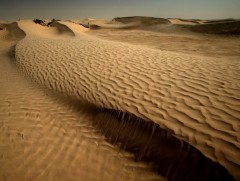 Зурагдаагүй пянз буюу элсний хээ