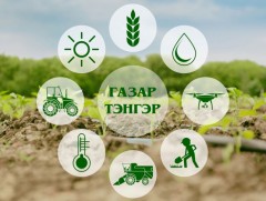 Газар тэнгэр: 2021 оны тариалалт