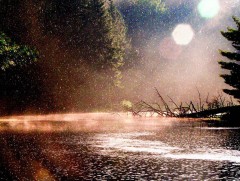 Бороотой өдрийн дурсамж