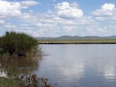 Домгийн цагаан Хэрлэн