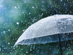 “Бороо” уянгын зураглал