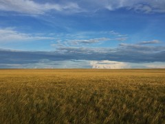 Намайг тоссон тал