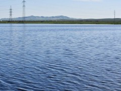 Дархан-Уул аймаг дахь цагдаагийн газраас сэрэмжлүүлж байна