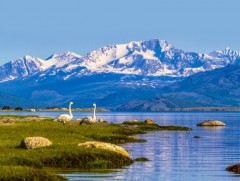 Тэнгэрийн цэнхэрлэгт эх орноо зурнам