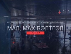 Хүнсний чанар аюулгүй байдал: Мал, мах бэлтгэл