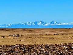 Цагаан Богд солонгорно