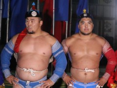 Улсын харцага Д.Анар түрүүлж, аймгийн арслан Г.Төрмөнх үзүүрлэжээ