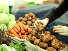 Ногоочид ногоогоо хаана борлуулах вэ?