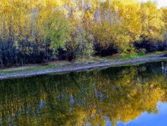 Аравдугаар сард олон жилийн дунджаас хүйтэн байна