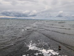 Увс нуурын хотгорыг дэлхийн хэмжээнд хамгаална