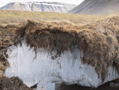 Цэвдгийн гэсэлтийг сааруулах технологийн шийдлүүд