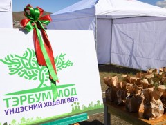 “Тэрбум мод” үндэсний хөдөлгөөний нээлтийн өдрүүд үргэлжилж байна