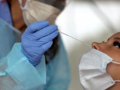 Монголд хэрэглэхийг зөвшөөрсөн 