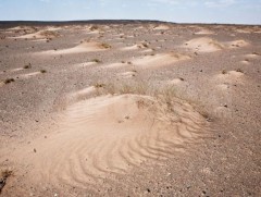 Хөгжилд хөтөлсөн бүтээлүүд: Цөлжилт 