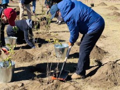 Засгийн газрын Хэрэг эрхлэх газрын хамт олон мод тарилаа