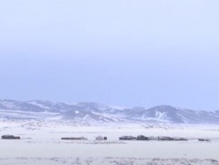 Улсын хэмжээнд өвлийн бэлтгэл ажил 84 хувьтай байна