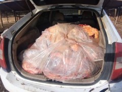 Үхэр хулгайлсан этгээдүүдийг илрүүллээ