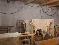 Эдийн засгийг төрөлжүүлж, үйлдвэрлэгч улс болоход хоршооллын салбар чухал нөлөөтэй