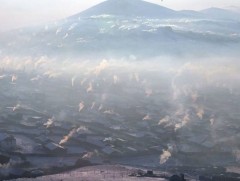 Агаарын бохирдол урагт сөргөөр нөлөөлж, үргүйдэлд хүргэж байна