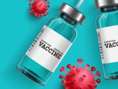 Францад “КОВИД-19” вакцины хуурамч гэрчилгээ 400 орчим хэрэг илэрчээ