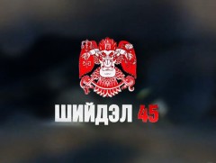 Шийдэл-45