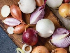 Сонгино эрүүл мэндэд тустай 