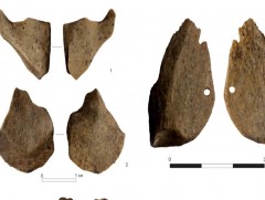 Эртний хүмүүс ясаар гоёл чимэглэлийн зүйлс, зэр зэвсэг хийж байжээ