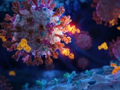 БНХАУ коронавирусний анхны эсрэг биетийн эмчилгээг зөвшөөрлөө